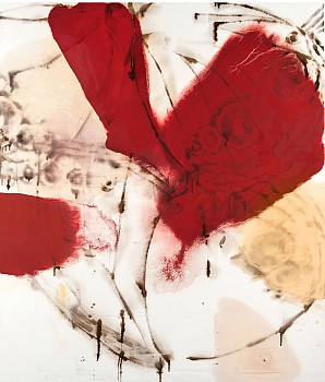 Dirk De Bruycker - Red Morpho 44 x 38 in.