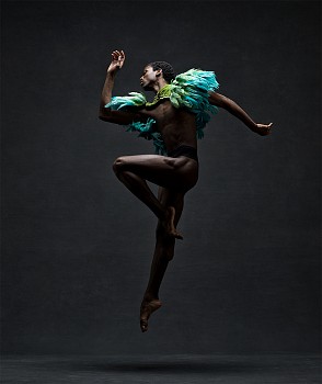 Ken Browar & Deborah Ory - Calvin Royal III 50 x 42 in.