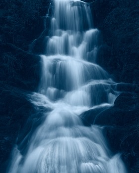 Work: Fall #23 37.5x30", 50x40", 70x56"