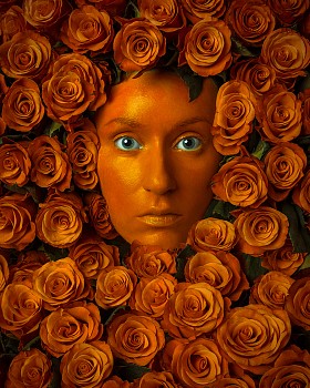 Flora Borsi - B Roses available in 4 sizes