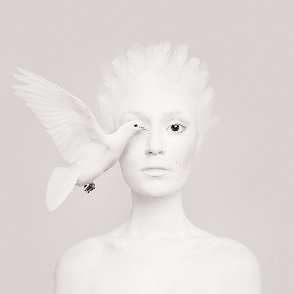 Flora Borsi, Animeyed, Dove
Archival pigment print on Hahnemuhle paper, 27 1/2 x 27 1/2 in.