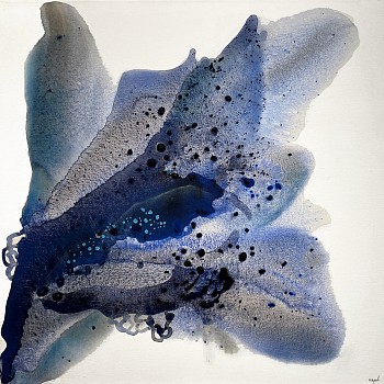 Muriel Napoli - Lotus 23 1/2 x 23 1/2 in.