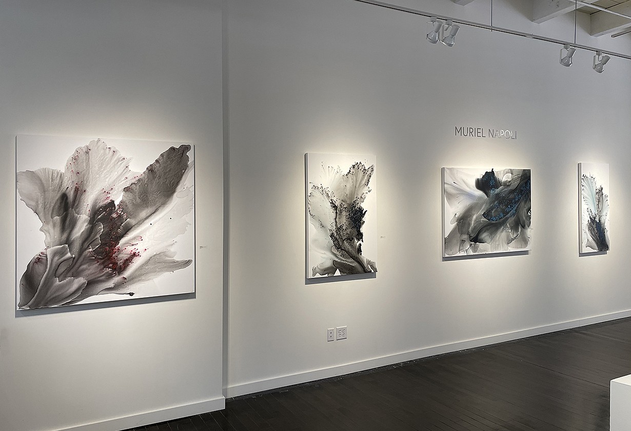 Muriel Napoli, Installation view 2021