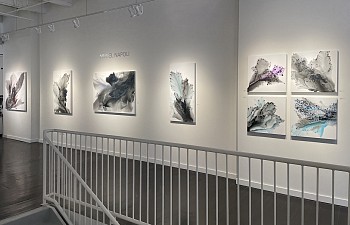Muriel Napoli - Installation view 2021