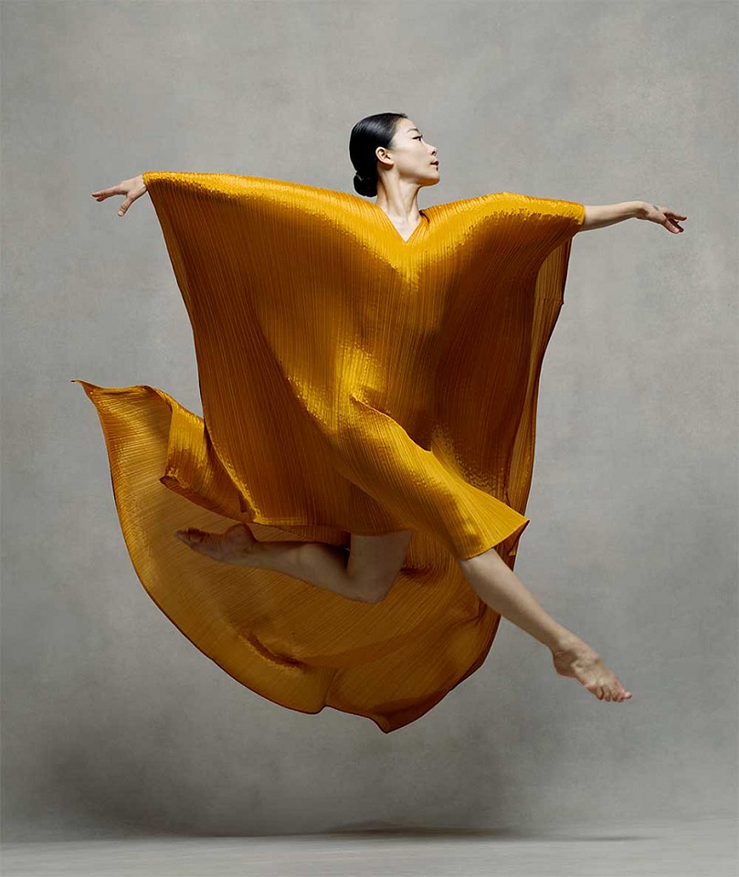 Ken Browar & Deborah Ory, Xin Ying II, Principal Martha Graham Dance Company in Issey Miyake
Dye sublimation print on aluminum, 50 x 42 in.