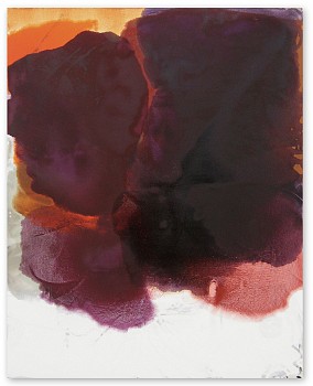 Dirk De Bruycker - Lunule III 60 x 48 in.