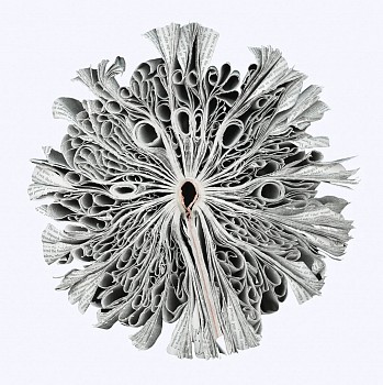 Cara Barer - History Sizes vary