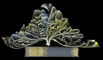 Cara Barer - Pathfinder Sizes vary