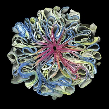 Cara Barer - Rainbow Sizes vary