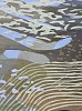 Laura Fayer Autumn Logic detail1