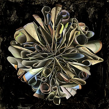 Cara Barer - Skeleton Coast Sizes vary