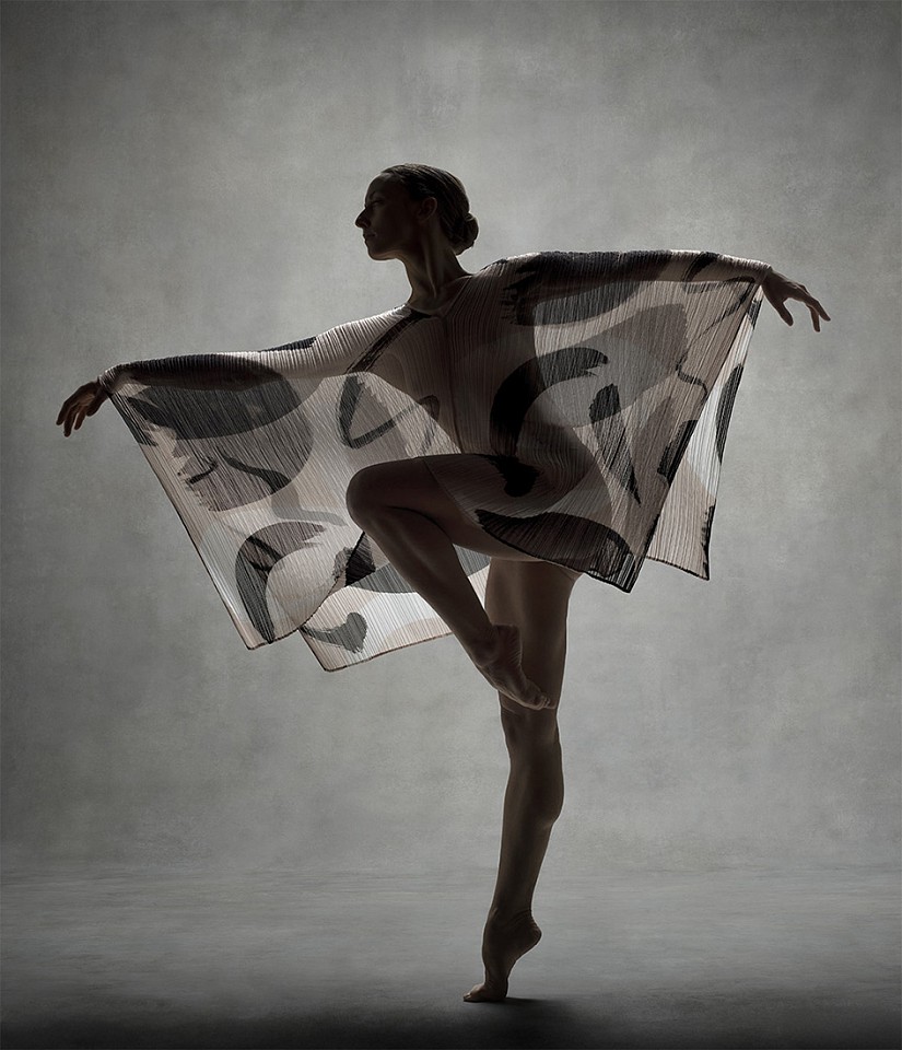Ken Browar & Deborah Ory, Anne Souder Issey Miyake
Dye sublimation print on aluminum, 35 x 30 in.