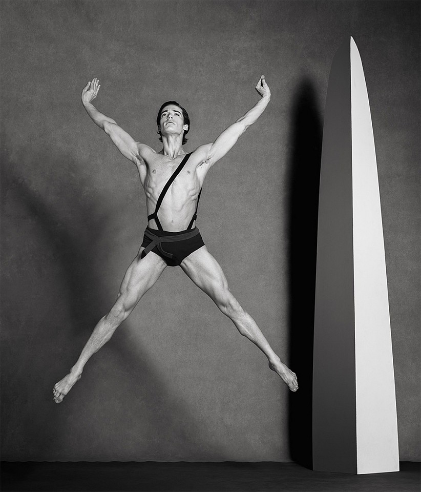 Ken Browar & Deborah Ory, Jacob Larsen Dark Meadow
Dye sublimation print on aluminum, 35 x 30 in.