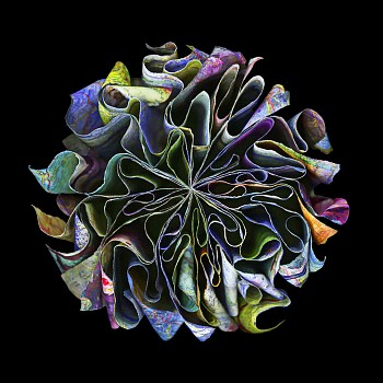 Cara Barer -&nbsp;Burgundy Sizes vary