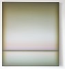 Patrick DeAngelis Cactus 60x54